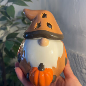 Brûleur “Gardien des citrouilles”