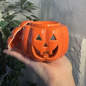 Brûleur “Citrouille enchantée”