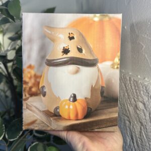 Brûleur “Gardien des citrouilles”